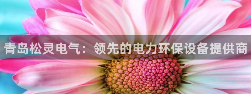 jdb电子如何注册