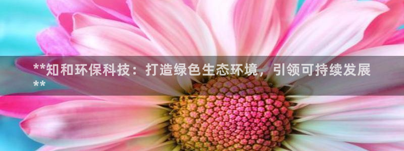 jdb电子金刚玩法