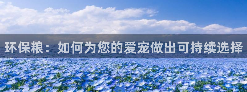 jdb电子什么游戏好玩