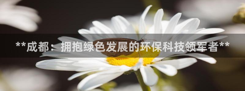 jdb电子有多坑