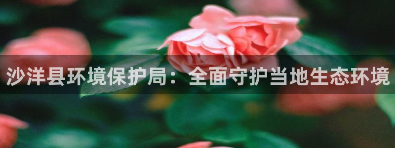 jdb五龙捕鱼1800倍