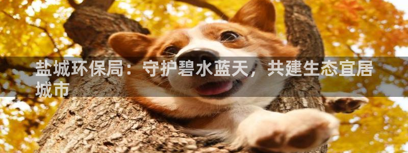 jdb电子变脸2大奖截图