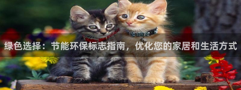 JDB电子哪个好赢钱