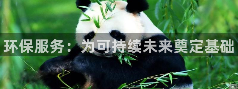 JDB电子联系方式