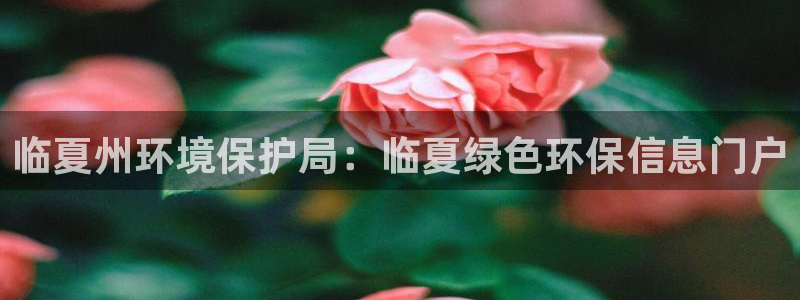 jdb飞鸟派对有输钱的吗