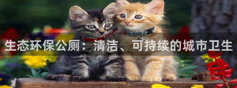 jdb电子游戏金刚