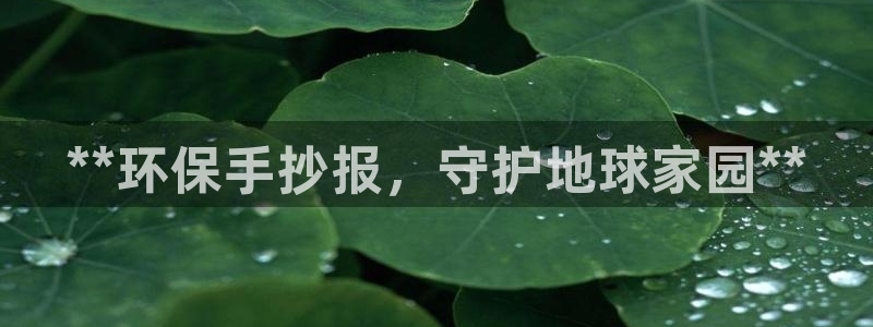 jdb电子台湾黑熊怎么玩
