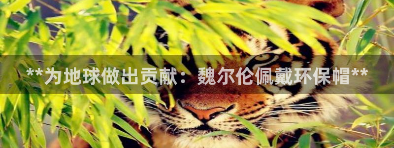 jdb电子体育