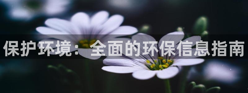 jdb电子游戏模拟器
