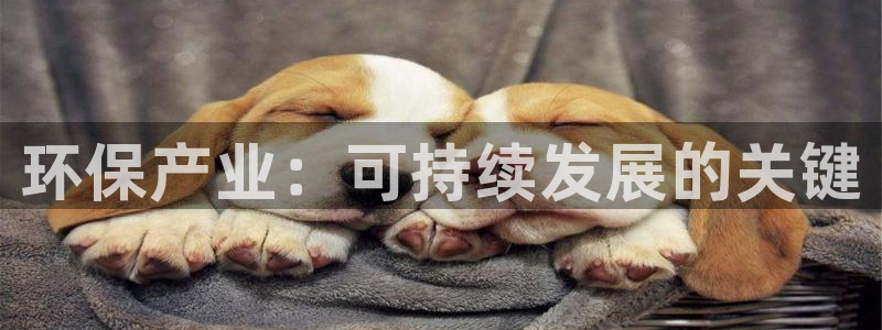 jdb变脸2