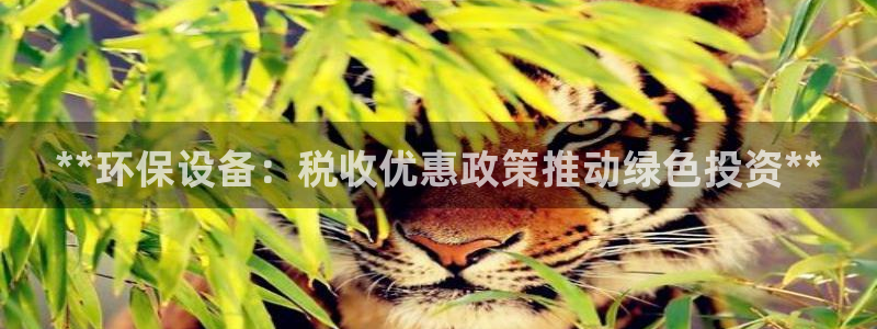 Jdb电子怎么赢不了