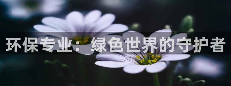 jDB电子黄金王牌