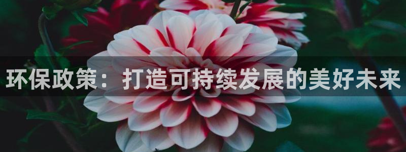 JDB电子娱乐官网