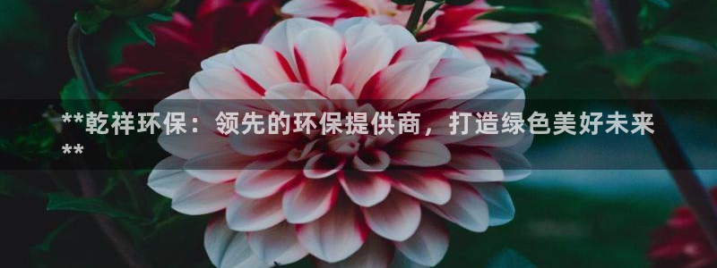 jdb中奖视频