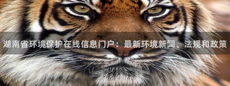 jdb电子金刚大奖视频