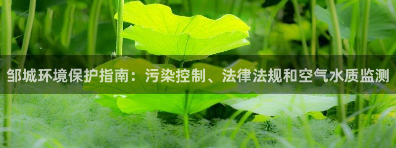 JDB游戏太假