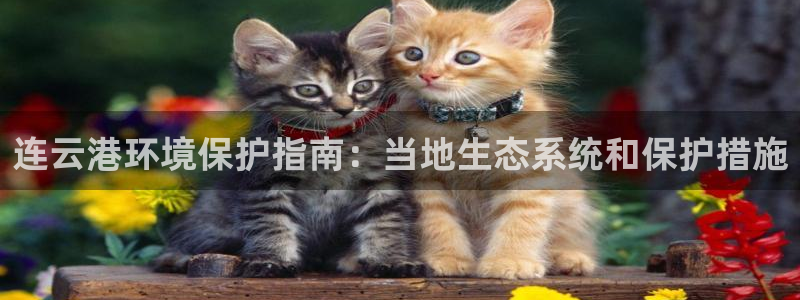 jdb电子飞鸟派对高倍技巧