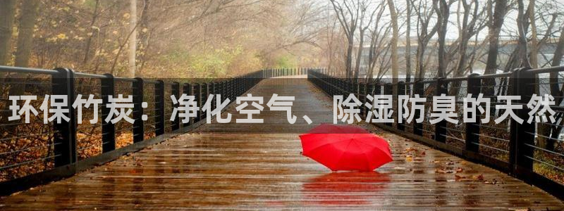 jdb游戏论坛