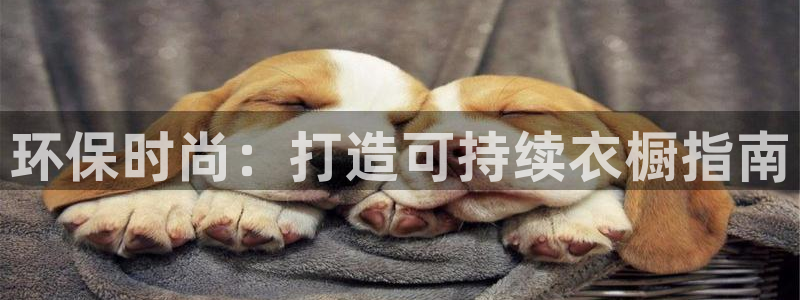 jdb飞鸟派对大奖视频