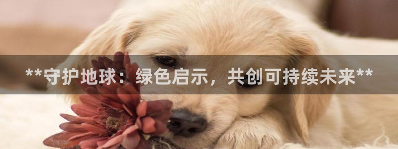 jdb电子平台首页
