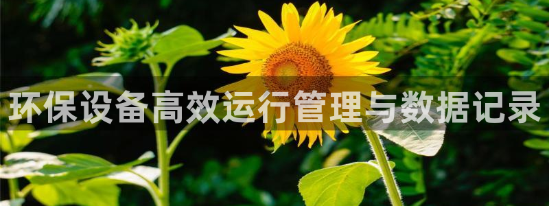 Jdb电子模拟器