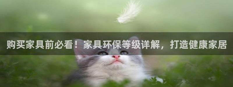 JDB电子夺宝组件下载