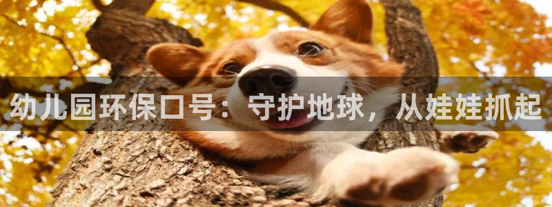 jdb哪个游戏最容易爆奖