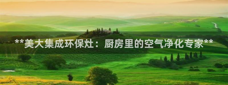 jdb电子游戏修改器