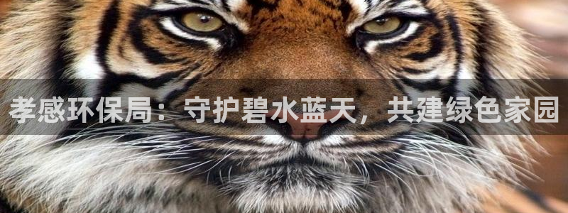 jdb电子官网3.8.2.2.2.3主管还