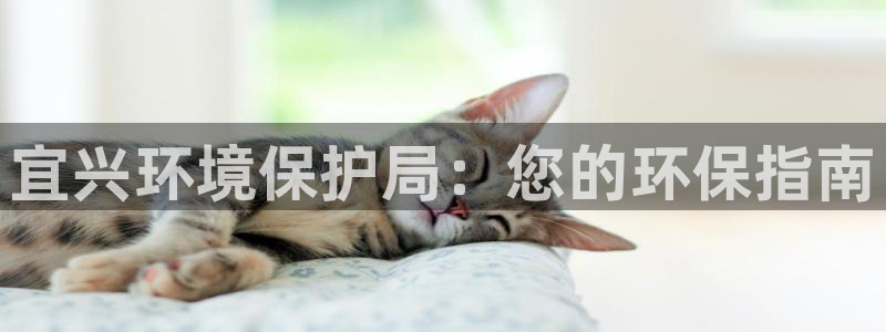 jdb_official_v1.9.0.apk