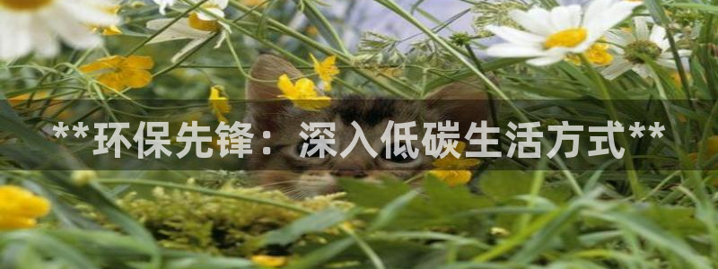 jdb电子夺宝官网